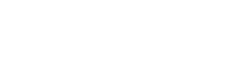CIDANZ Logo - White